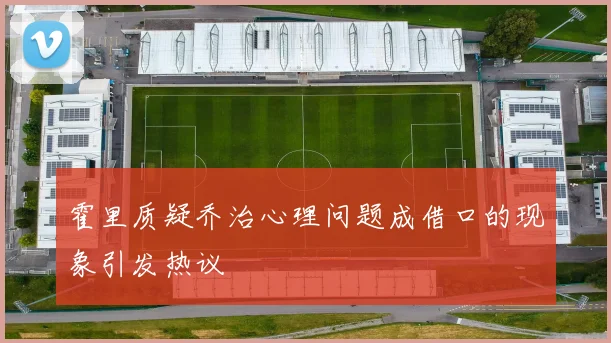 霍里质疑乔治心理问题成借口的现象引发热议