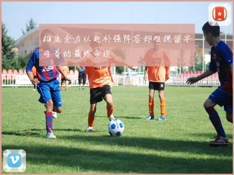 雄鹿全力以赴补强阵容却难挽留字母哥的最终命运