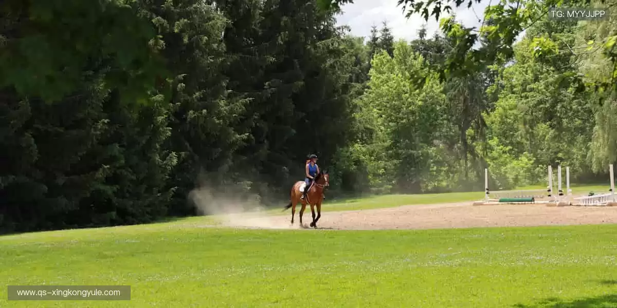 🌍全球体育，一网打尽！从赛场到生活，运动永不落幕✨